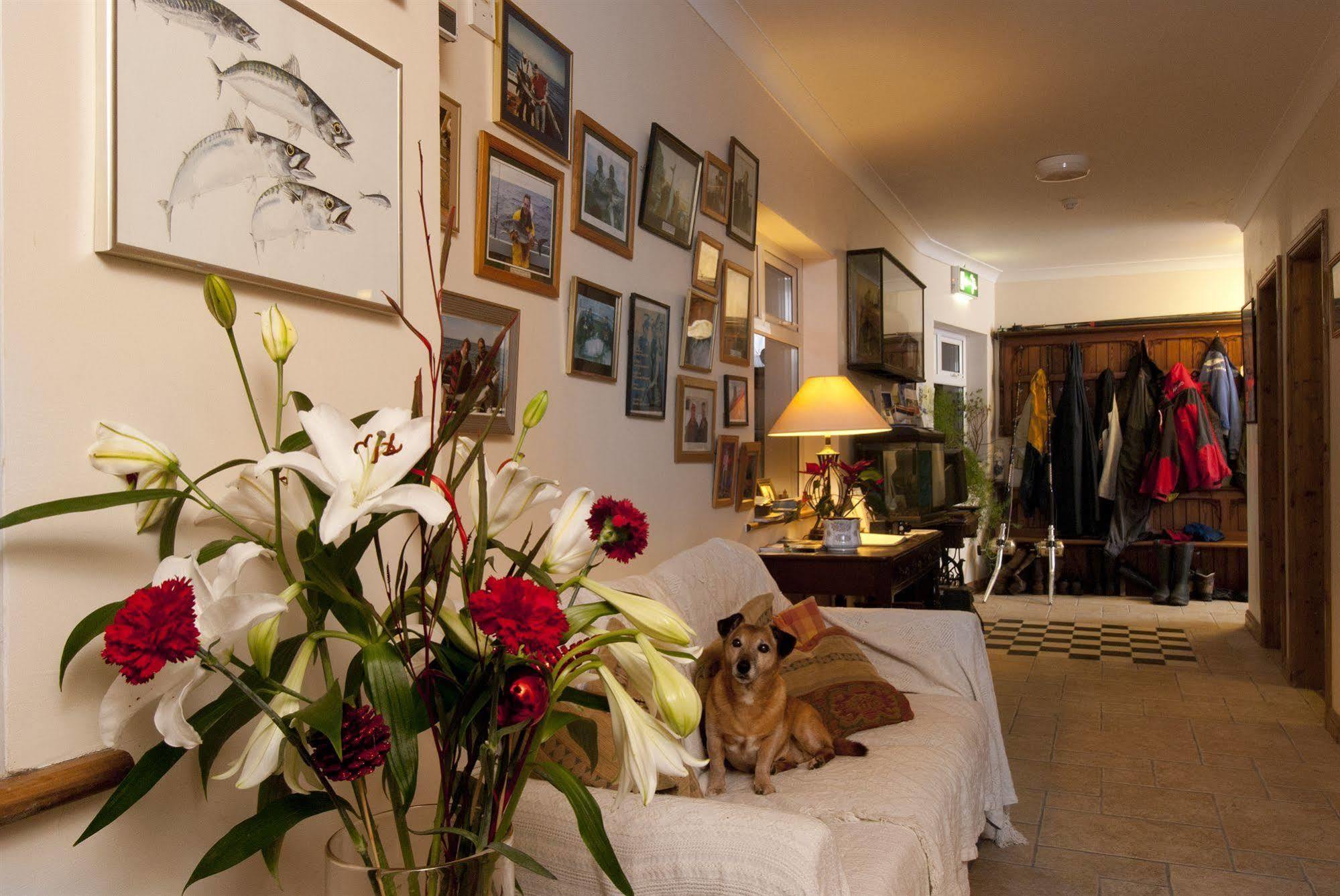 קליפדן Sharamore House B&B מראה חיצוני תמונה